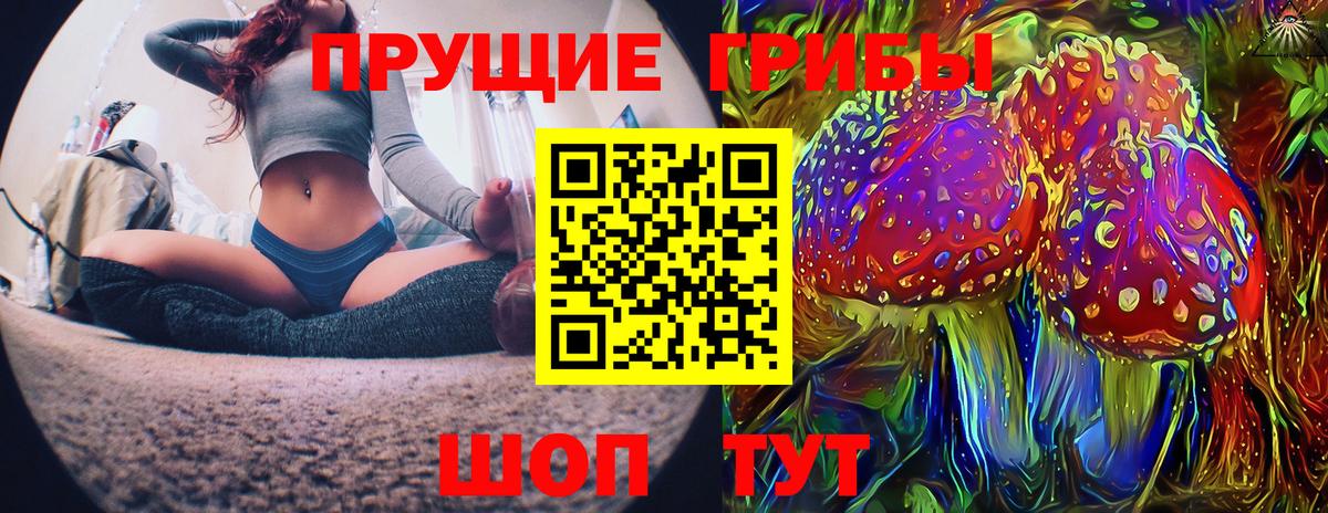 Псилоцибиновые грибы прущие грибы Новосибирск