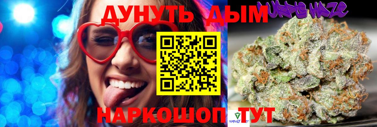 Новосибирск  Каннабис план  Вход с VPN  Марихуана сатива  Бошки марихуана ГИДРОПОН 